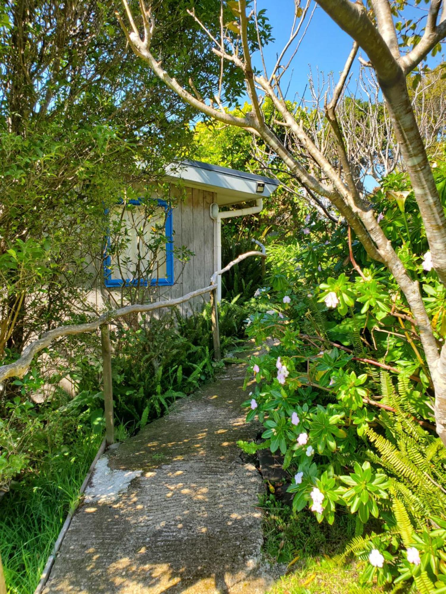 Rawhiti Cottage Kuaotunu Exteriör bild